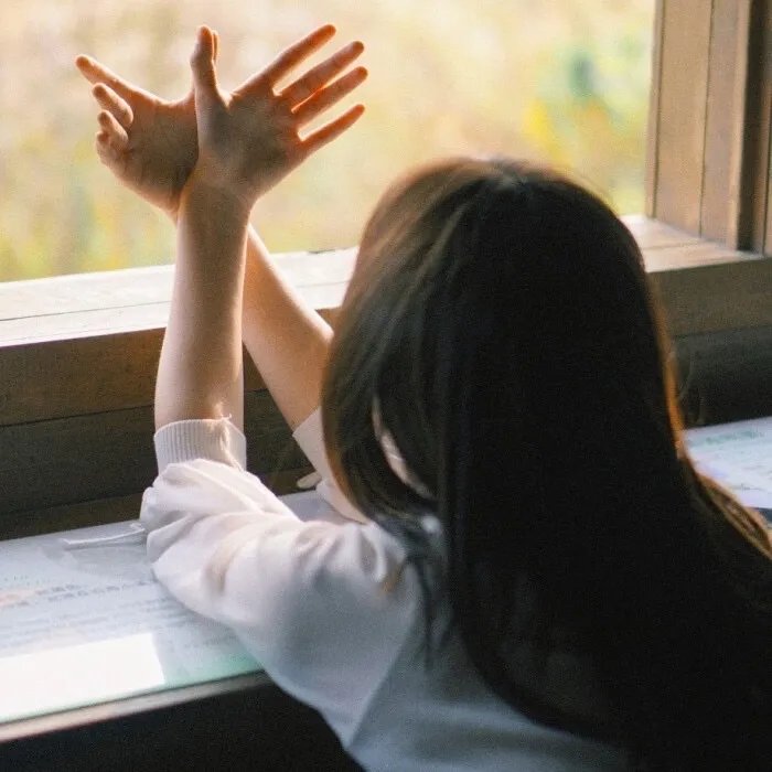 脂粉双枪侠之子