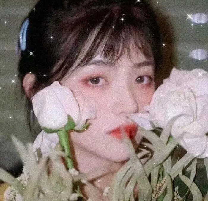 不必借光我即星辰